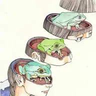 R00T