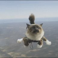 Fat Cat Fucker
