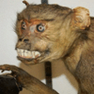 capnkutchie