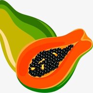 papaya