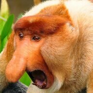 retard_cunt