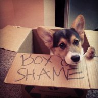 Box of Shame