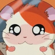 hamtaro