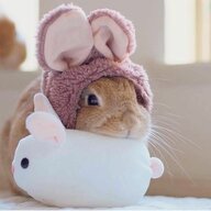 do you like my hat