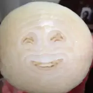 Onion Guide