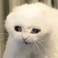 Tonyskit