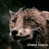 Criterion Rat
