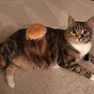glutmond