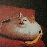 Catnana