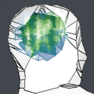 Internet Brain Rot