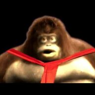 DonkeyKongSmells