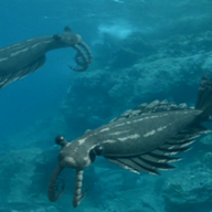 Giant sea bugs