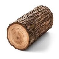 A Log