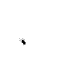 BeligerentBackdoor