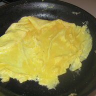 FaultyOmelette