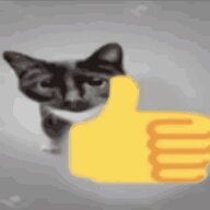 Beanmeboi