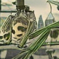 Sweet_Tarragon