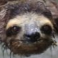 Zachary_Quack
