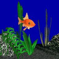 fish tank