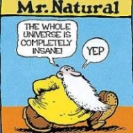 normalisasnormaldoes