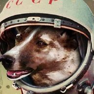 Comrade Laika