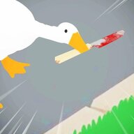 The Loose Goose
