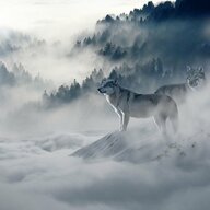 WinterOfOurDiscontent