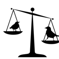 BirdLaw