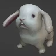 Dubious Creature