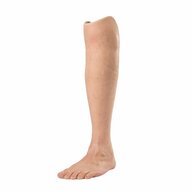 Leg