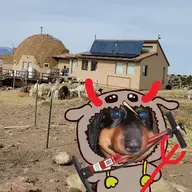 The Elusive Earl