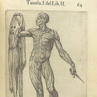 pseudotanaka