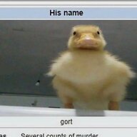 Bork shit