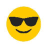 ASSBLONKER