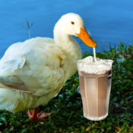 Ice Cream Duck