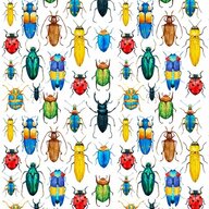 Prescription Bugs