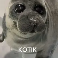 Kotik