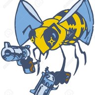 BeeGunner