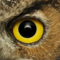 The eternal eye