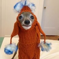 Russ