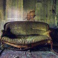 I Grew Up On a Couch