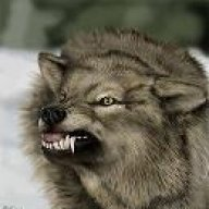 Lonewolf