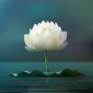 Just a Lotus Eater