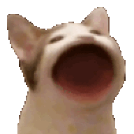 infinityplusone