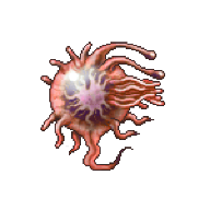 Prokaryote