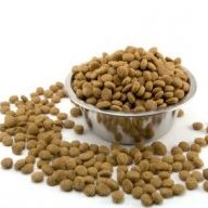 kibble