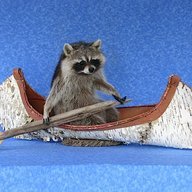 MoistSuperCanoe