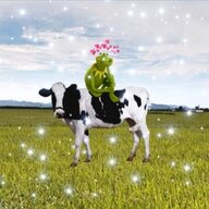 LmaoCow