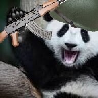 Krystal the giant panda