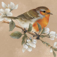 DawnChorus